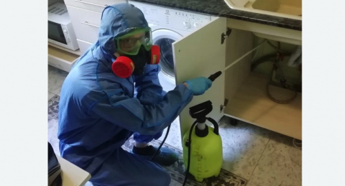 Уничтожение муравьев в квартире. Малмыж