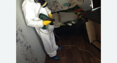 Обработка квартир от насекомых в Малмыже