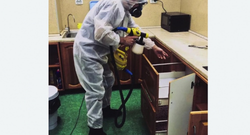 Дезинсекция квартиры. Малмыж