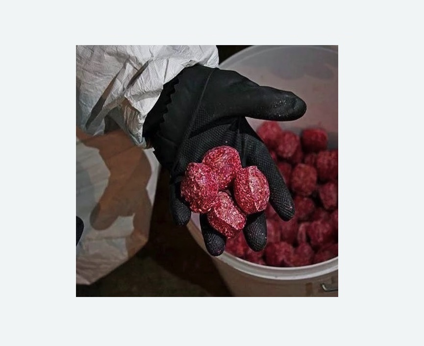 Обработка от крыс в Малмыже