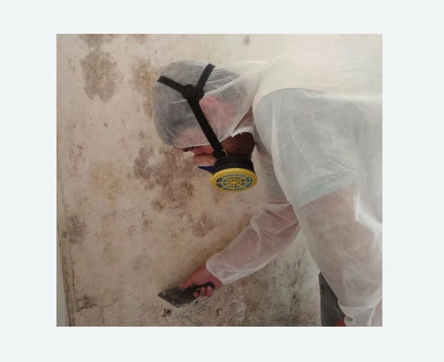 Обработка стен от плесени в Малмыже