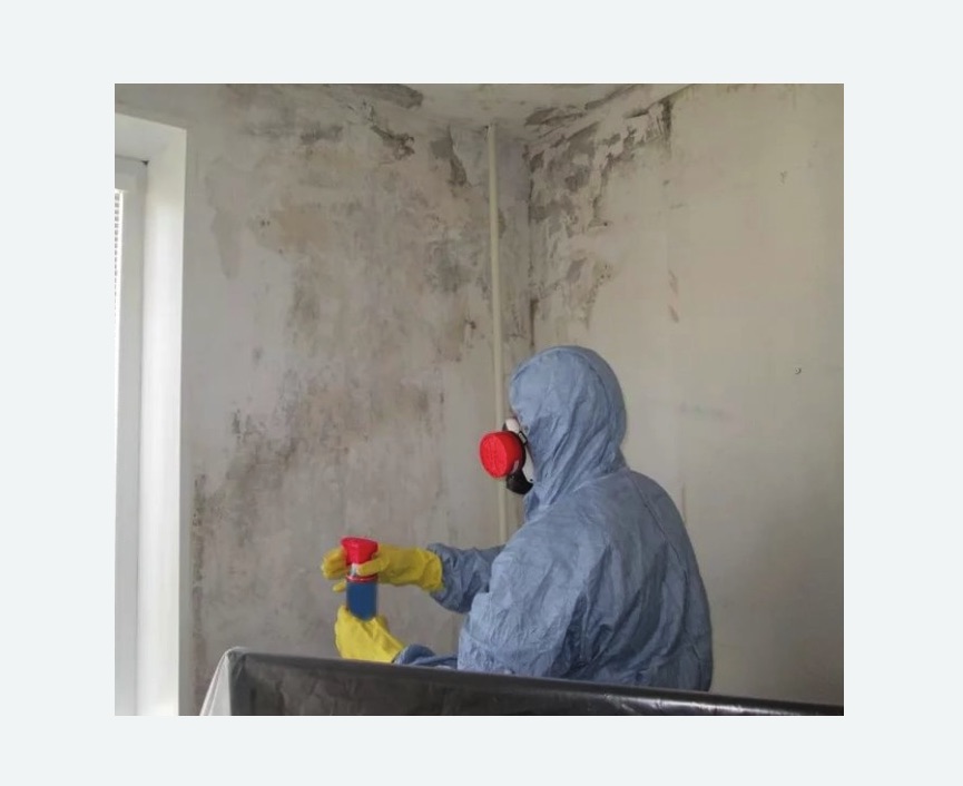 Удаление плесени в квартире в Малмыже