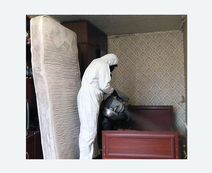 дезинфекция от клопов в Малмыже