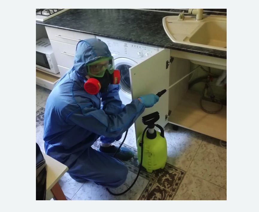 обработка от муравьев в квартире в Малмыже