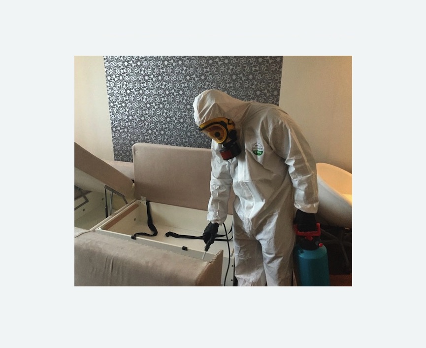 уничтожение клопов в квартире в Малмыже