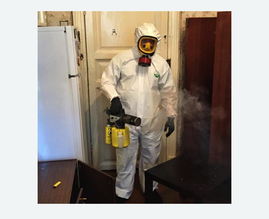 уничтожение муравьев в квартире в Малмыже